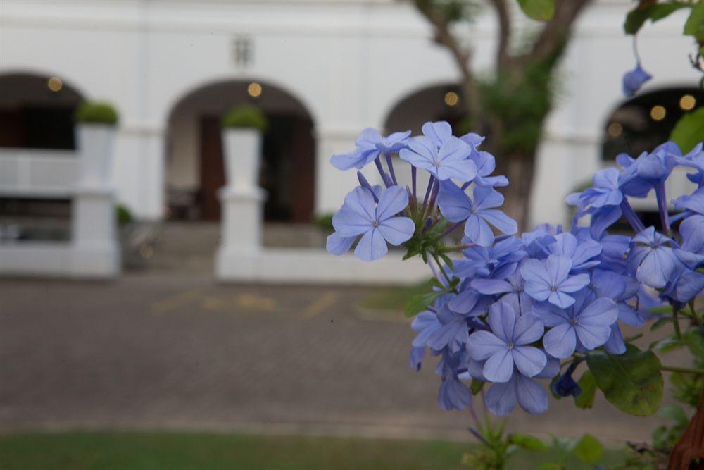 Tamarind Hill Hotel Galle Buitenkant foto
